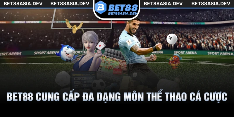 Bet88 cung cấp đa dạng môn thể thao cá cược