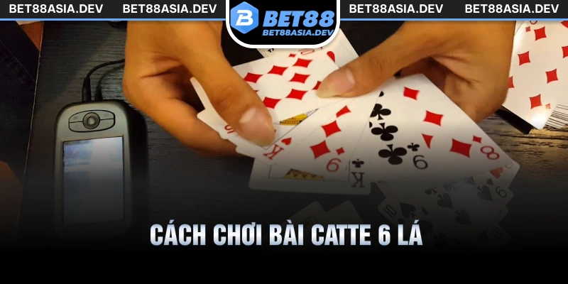 cách chơi bài catte 6 lá