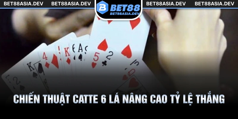 Chiến thuật Catte 6 lá nâng cao tỷ lệ thắng