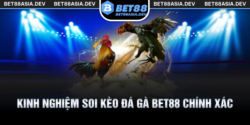 Kinh nghiệm soi kèo đá gà Bet88 chính xác như dân chơi