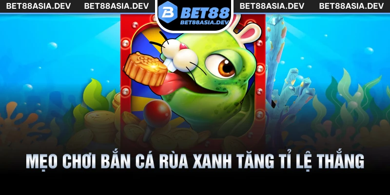 Mẹo chơi bắn cá rùa xanh tăng tỉ lệ thắng
