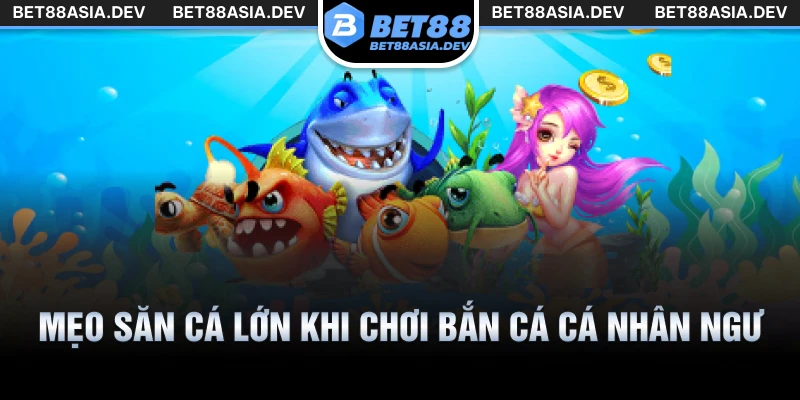 Mẹo săn cá lớn khi chơi bắn cá cá nhân ngư