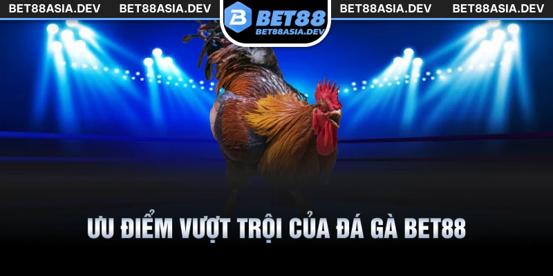 Ưu điểm vượt trội của đá gà Bet88