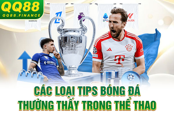 Các loại tips bóng đá thường thấy trong thể thao