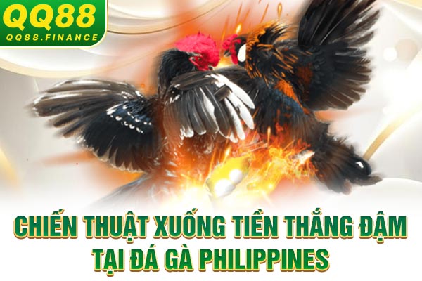 Chiến thuật xuống tiền thắng đậm tại đá gà Philippines