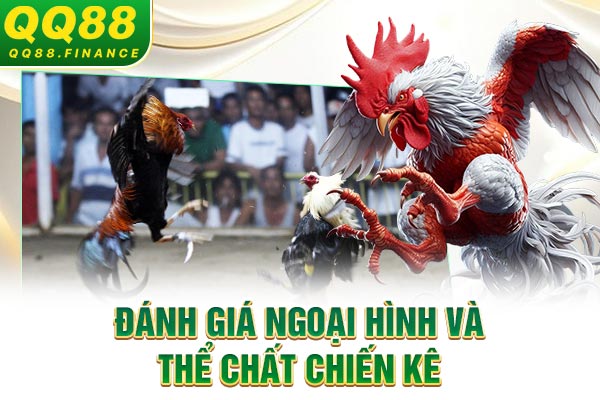 Đánh giá ngoại hình và thể chất chiến kê